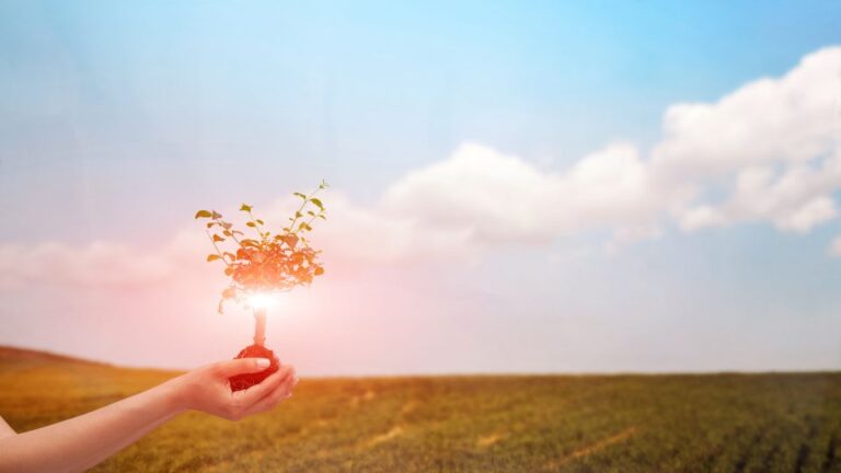 Slow Living: Die Kunst der Entschleunigung und bewussten Zeitgestaltung.