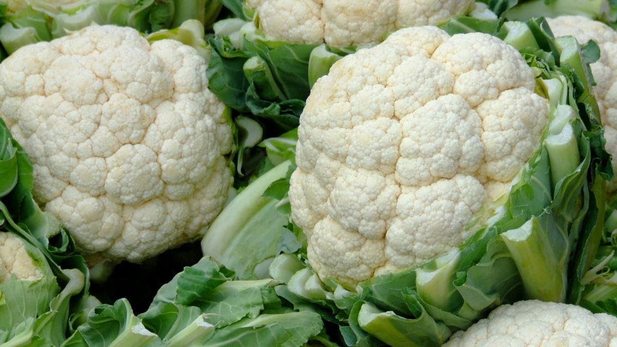 Frischer, roher Blumenkohl mit grünen Blättern, reich an Nährstoffen.