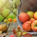 Ein Korb voller frischer Äpfel, umgeben von buntem Herbstlaub.